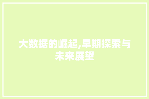 大数据的崛起,早期探索与未来展望 前端技术