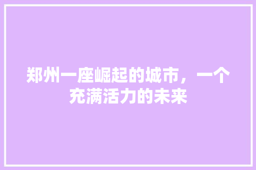 郑州一座崛起的城市，一个充满活力的未来