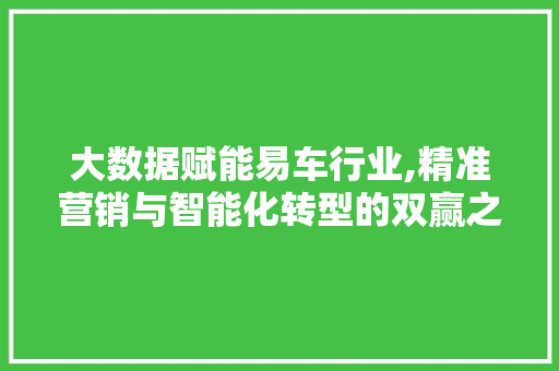 大数据赋能易车行业,精准营销与智能化转型的双赢之路 市场营销范文