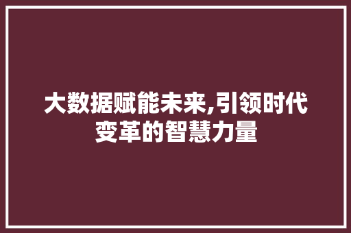 大数据赋能未来,引领时代变革的智慧力量 项目报告