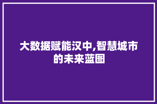 大数据赋能汉中,智慧城市的未来蓝图