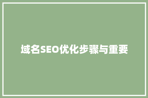 域名SEO优化步骤与重要