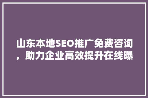 山东本地SEO推广免费咨询，助力企业高效提升在线曝光率