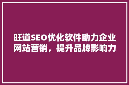 旺道SEO优化软件助力企业网站营销，提升品牌影响力