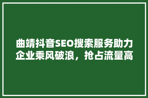 曲靖抖音SEO搜索服务助力企业乘风破浪，抢占流量高地