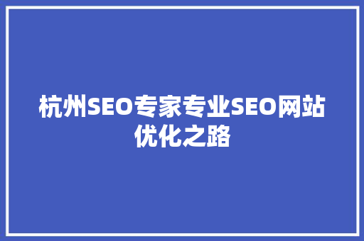 杭州SEO专家专业SEO网站优化之路