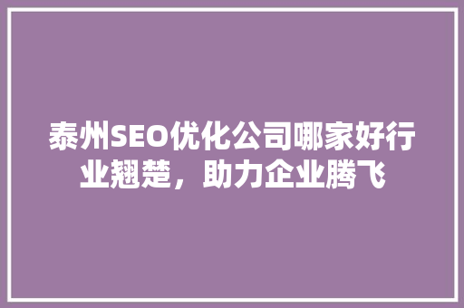 泰州SEO优化公司哪家好行业翘楚，助力企业腾飞