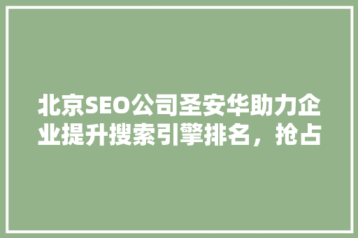 北京SEO公司圣安华助力企业提升搜索引擎排名，抢占市场先机