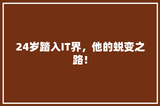 24岁踏入IT界，他的蜕变之路！ 市场营销范文