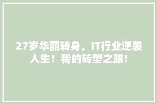 27岁华丽转身，IT行业逆袭人生！我的转型之路！ 商务信函