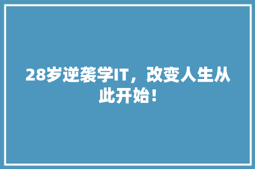28岁逆袭学IT，改变人生从此开始！ 项目报告