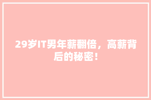 29岁IT男年薪翻倍，高薪背后的秘密！ 后端技术