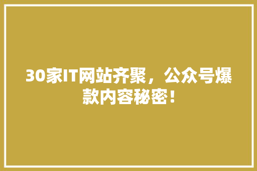 30家IT网站齐聚，公众号爆款内容秘密！ 网站建设