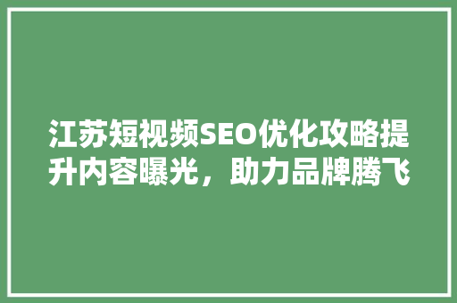 江苏短视频SEO优化攻略提升内容曝光，助力品牌腾飞