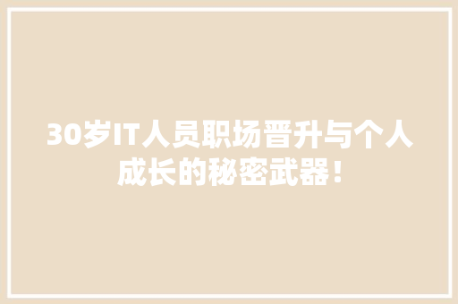 30岁IT人员职场晋升与个人成长的秘密武器！ 市场营销范文