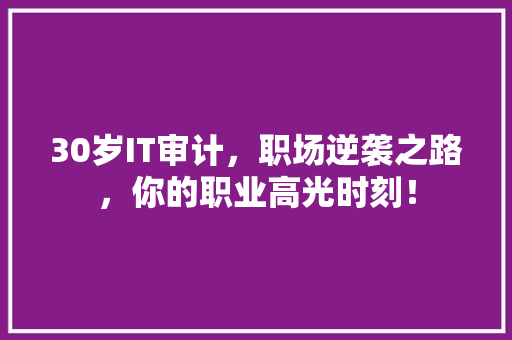 30岁IT审计，职场逆袭之路，你的职业高光时刻！ 项目报告