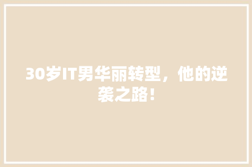 30岁IT男华丽转型，他的逆袭之路！ 网站建设