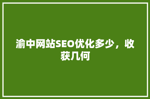 渝中网站SEO优化多少，收获几何