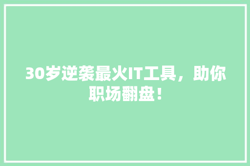 30岁逆袭最火IT工具，助你职场翻盘！ 项目报告