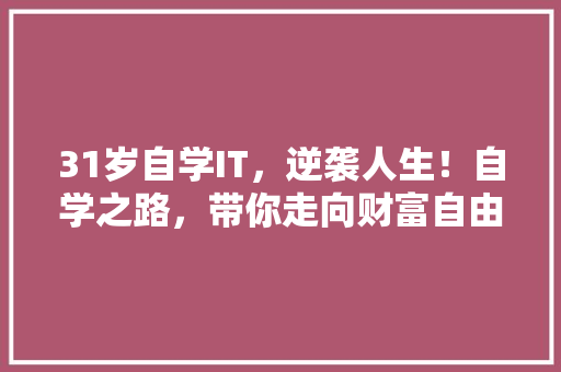 31岁自学IT，逆袭人生！自学之路，带你走向财富自由！ 项目报告