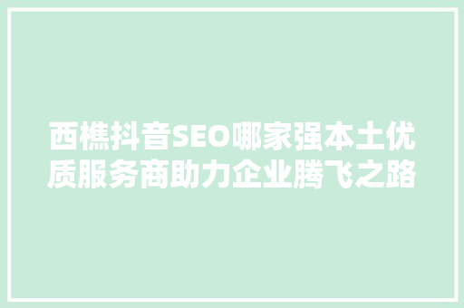 西樵抖音SEO哪家强本土优质服务商助力企业腾飞之路