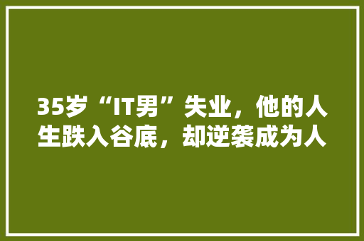 35岁“IT男”失业，他的人生跌入谷底，却逆袭成为人生赢家！ 缓存Redis