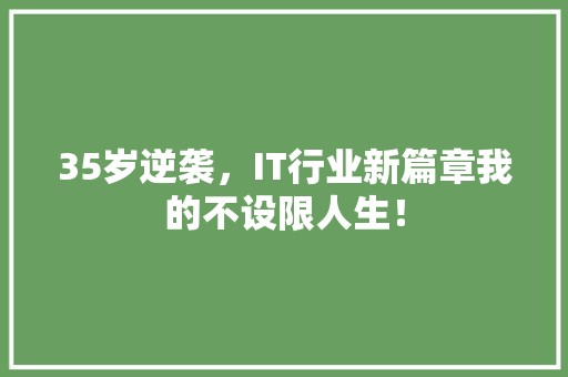 35岁逆袭，IT行业新篇章我的不设限人生！ 缓存Redis