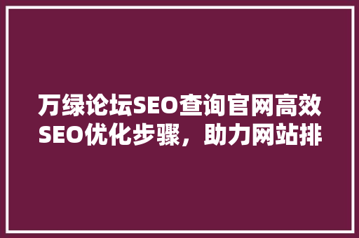 万绿论坛SEO查询官网高效SEO优化步骤，助力网站排名提升