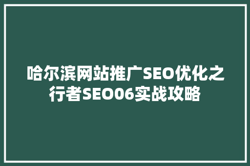 哈尔滨网站推广SEO优化之行者SEO06实战攻略