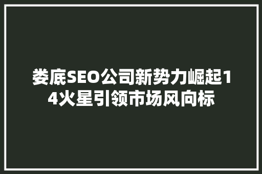 娄底SEO公司新势力崛起14火星引领市场风向标