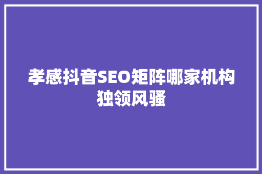 孝感抖音SEO矩阵哪家机构独领风骚