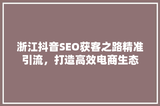 浙江抖音SEO获客之路精准引流，打造高效电商生态 网站建设