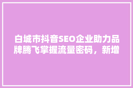 白城市抖音SEO企业助力品牌腾飞掌握流量密码，新增长引擎