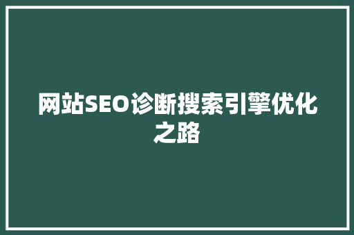 网站SEO诊断搜索引擎优化之路