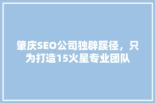 肇庆SEO公司独辟蹊径，只为打造15火星专业团队