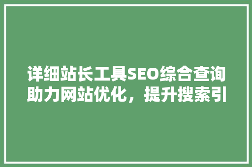详细站长工具SEO综合查询助力网站优化，提升搜索引擎排名