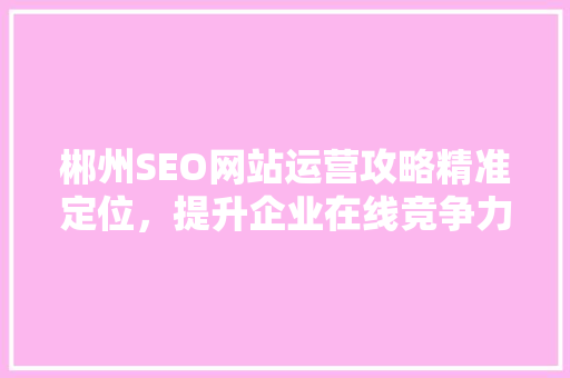 郴州SEO网站运营攻略精准定位，提升企业在线竞争力