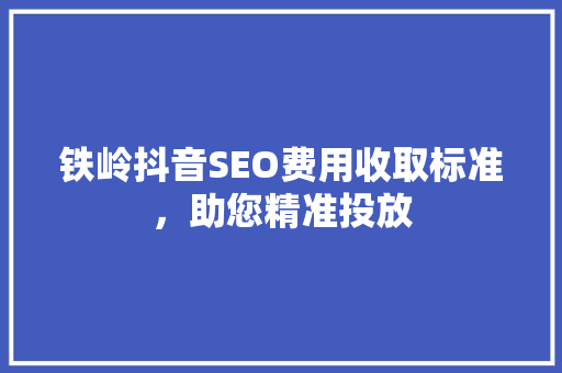铁岭抖音SEO费用收取标准，助您精准投放