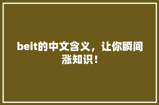 beit的中文含义，让你瞬间涨知识！