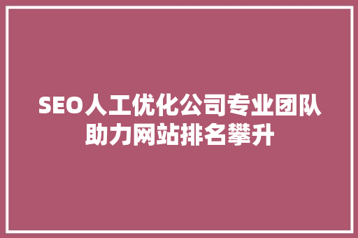SEO人工优化公司专业团队助力网站排名攀升