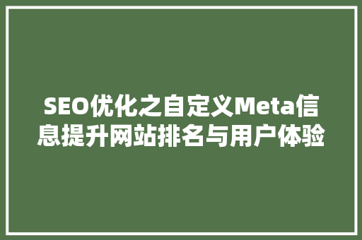 SEO优化之自定义Meta信息提升网站排名与用户体验的关键
