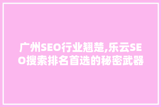 广州SEO行业翘楚,乐云SEO搜索排名首选的秘密武器