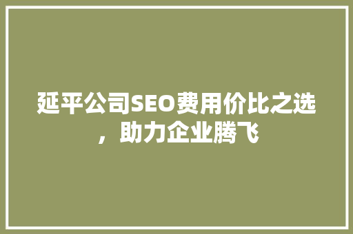 延平公司SEO费用价比之选，助力企业腾飞