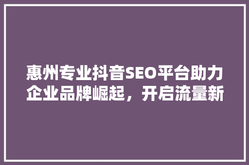 惠州专业抖音SEO平台助力企业品牌崛起，开启流量新时代