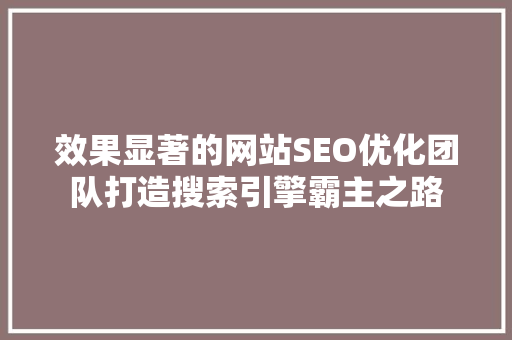 效果显著的网站SEO优化团队打造搜索引擎霸主之路