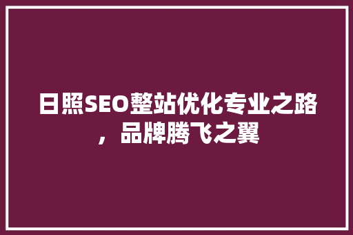 日照SEO整站优化专业之路，品牌腾飞之翼