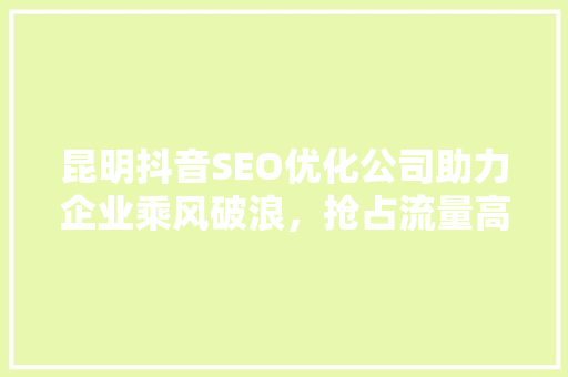 昆明抖音SEO优化公司助力企业乘风破浪，抢占流量高地