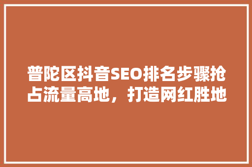 普陀区抖音SEO排名步骤抢占流量高地，打造网红胜地