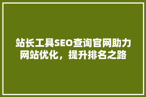 站长工具SEO查询官网助力网站优化，提升排名之路