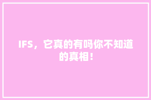 IFS，它真的有吗你不知道的真相！ 项目报告